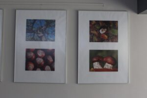 „Serca w przyrodzie” – wystawa fotografii Marty Wojewody